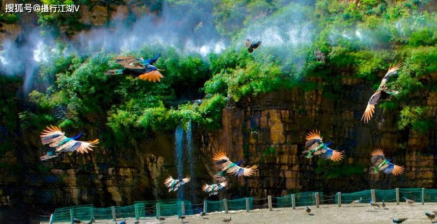 台风梅花已登青岛,成登陆山东最晚台风,台风对当地居民有什么影响?-知识星球平台,探索无限智慧之旅